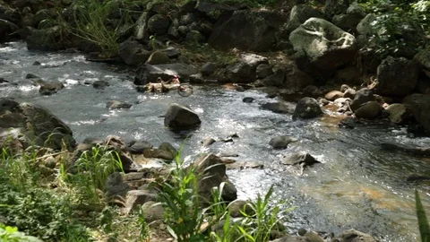 Stream Stock Footage 104826388