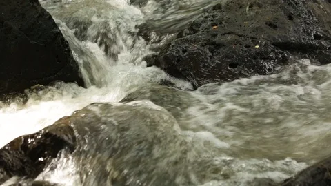 Stream Stock Footage 104828134