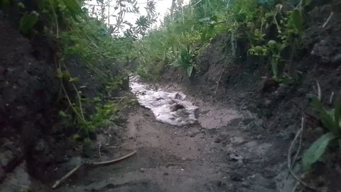 Stream Stock Footage 108741395