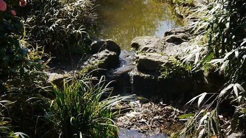 Stream Stock Footage 112695548