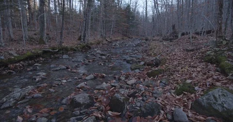 Stream Stock Footage 120610195