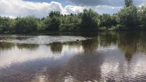 Stream Video stock 121646873