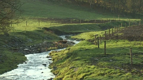 Stream Stock Footage 123928202