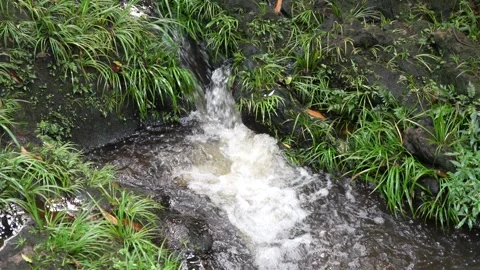 Stream Stock Footage 138342469