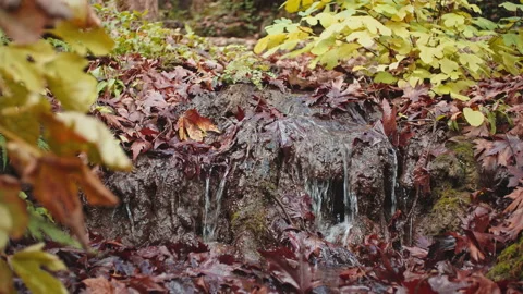 Stream Stock Footage 145207517