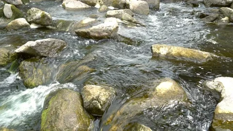 Stream 스톡 동영상 146646725