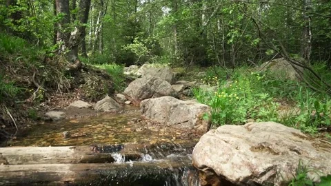 Stream Stock Footage 154985017