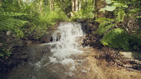 Stream Stock Footage 156043259
