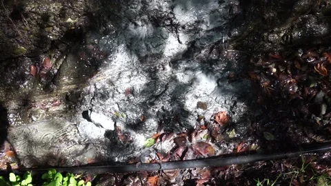 Stream Stock Footage 166580821