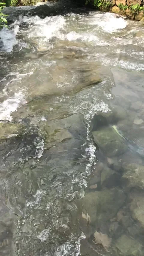 Stream Stock Footage 222331779