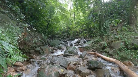 Stream Stock Footage 223257972