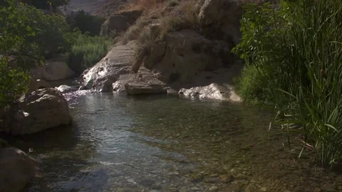 Stream Video stock 228917264