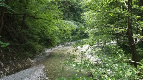 Stream Video stock 231553836