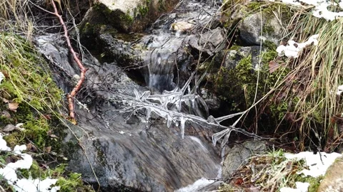 Stream Stock Footage 243018701