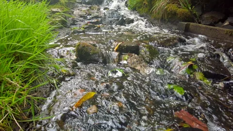 Stream Video stock 246419801