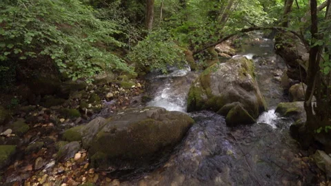 Stream Stockbeeldmateriaal 257888247