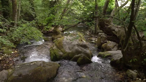 Stream 動画素材 257888824