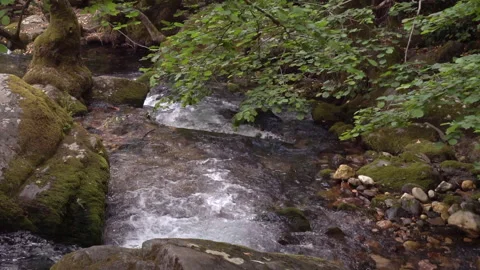 Stream Stock Footage 257888971