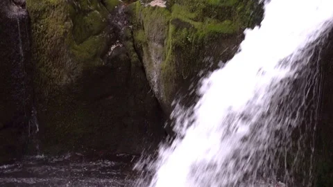 Stream 動画素材 257944328