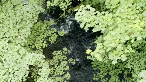 Stream Stock Footage 282512228