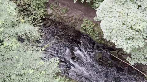 Stream Stock Footage 282512234