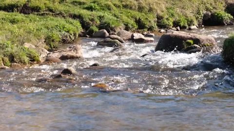 Stream Stock Footage 294126795