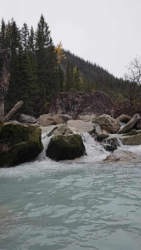 Stream 動画素材 295898041