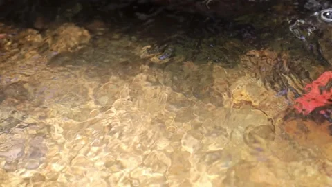 Stream Stock Footage 302895543