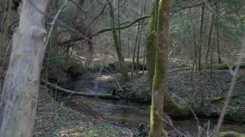 Stream Stock Footage 307212138