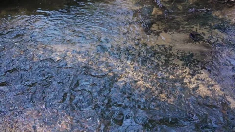 Stream Stock Footage 307212140