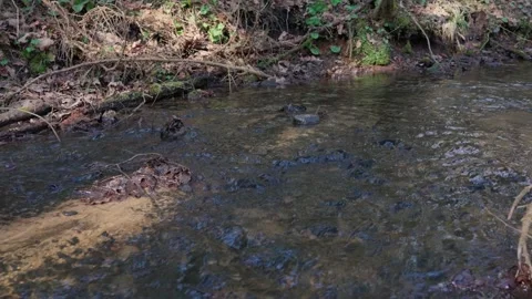 Stream Stock Footage 307212148