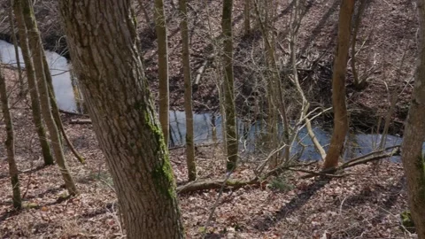 Stream Stock Footage 307212153