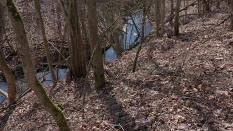 Stream Stock Footage 307212159