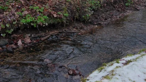 Stream Stock Footage 307212180