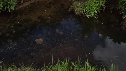 Stream Stock Footage 310052184