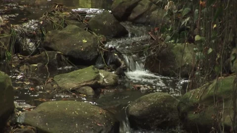 Stream Stock Footage 316257112