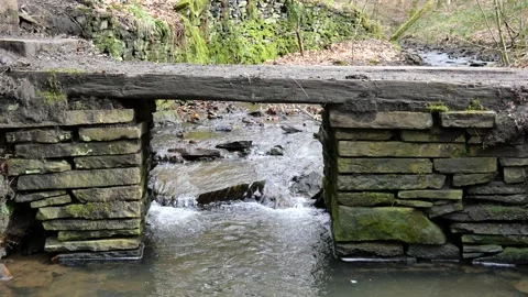 Stream footbridge Stock Footage 151544092