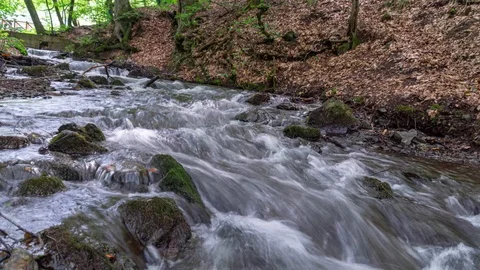Stream in the forest #2 Stock Footage