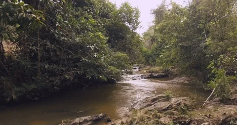 Stream in a forest aerial Stock Footage 89679303