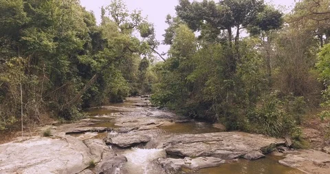 Stream in a forest aerial Stock Footage 89681180