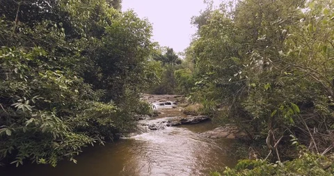 Stream in a forest aerial Stock Footage 89681349
