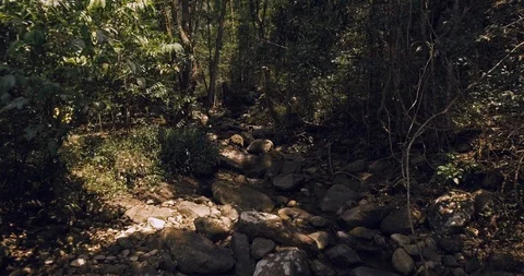 Stream in a forest aerial Stock Footage 89683463