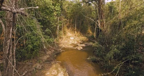 Stream in a forest aerial Stock Footage 89685242