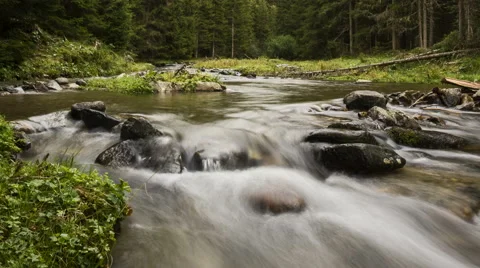 Stream in a forest in Austria Video stock 55580732