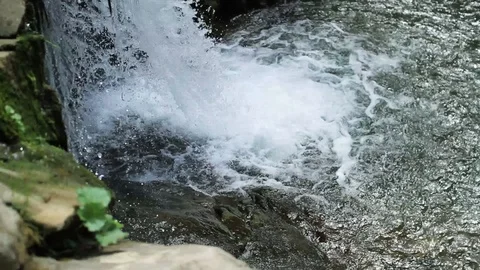 Stream in the forest cascade fresh green landscape nature river mountains Stock Footage 99371162