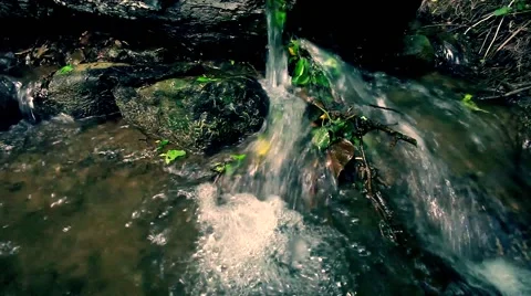 Stream in forest ,clean fresh cold water,artistic video background Stock Footage 49930948
