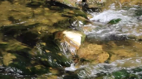 Stream in forest ,clean fresh cold water,artistic video background Stock Footage 49931079