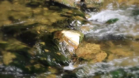 Stream in forest ,clean fresh cold water,artistic video background Stock Footage 49931146