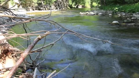 Stream in forest ,clean fresh cold water,artistic video background Stock Footage 50245609
