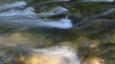 Stream in forest ,clean fresh cold water,artistic video background Stock Footage 50310700